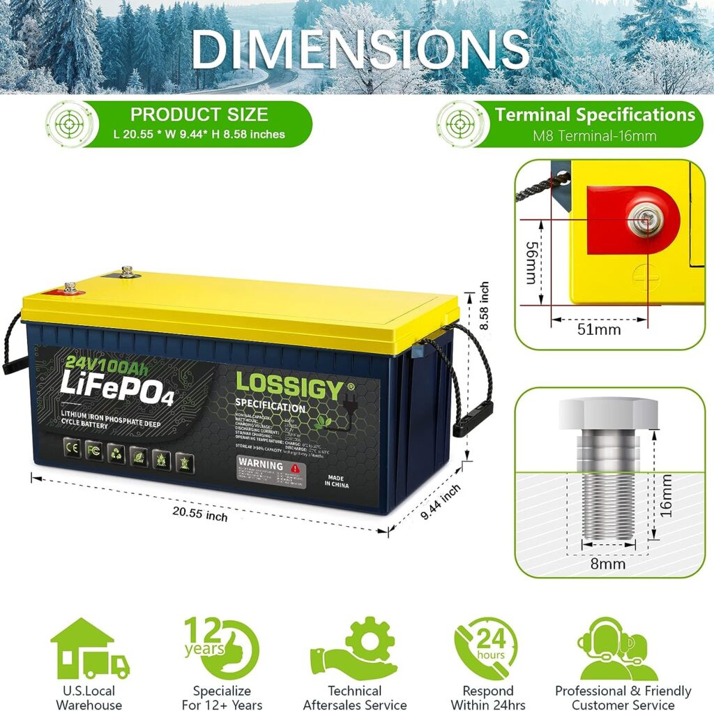 LOSSIGY 24V 100Ah LiFePO4 Battery, Deep Cycle Lithium Battery with 100A BMS, Perfectly for RV, Golf Cart, Trolling Motor, Solar